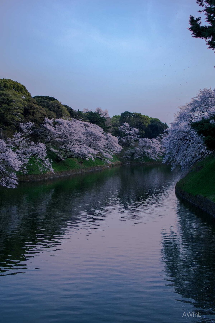 watermarked60_2021-03-29_17-59-48_040_sqsh80