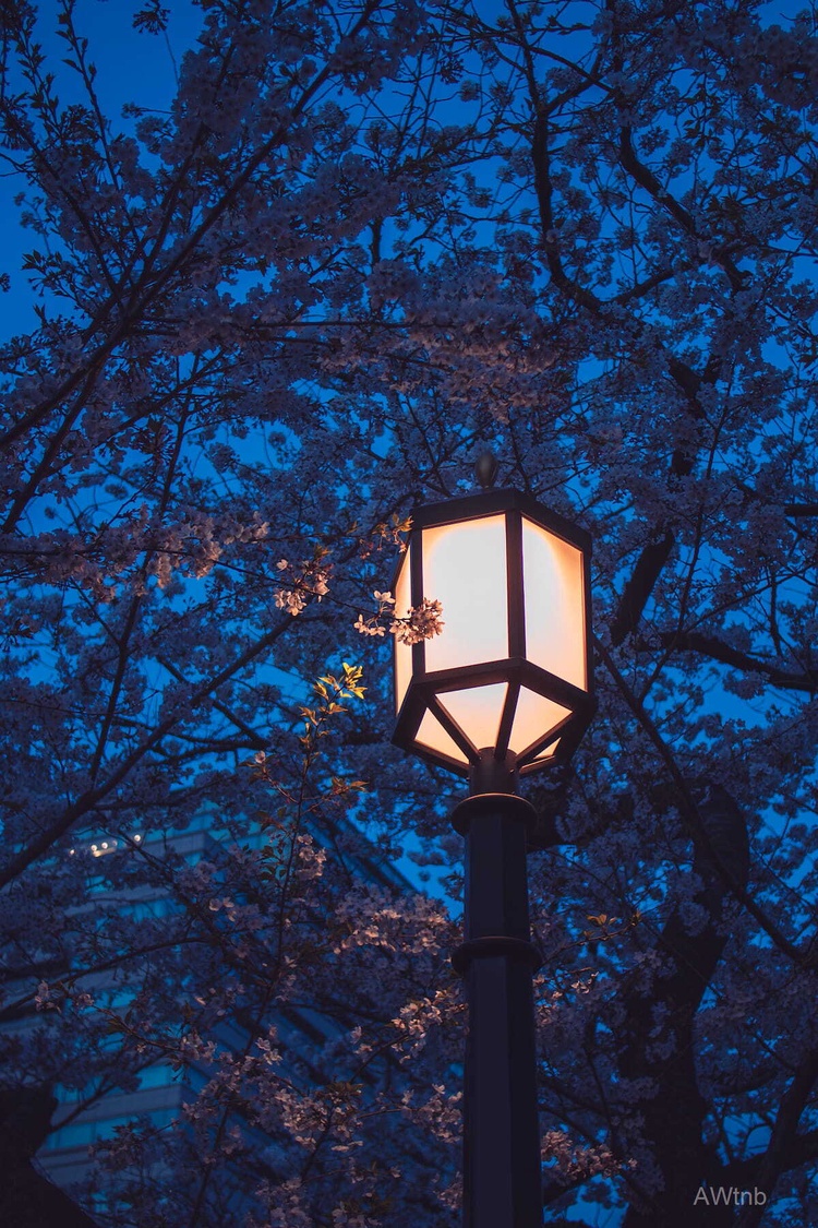 watermarked60_2021-03-29_18-13-25_150_sqsh80