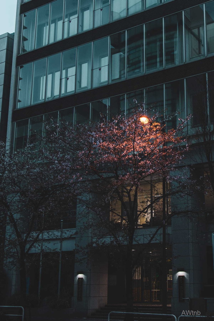 watermarked60_2021-04-01_18-03-10_690_sqsh80